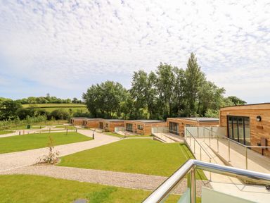 A row of wooden cabins with glass doors and railings surrounded by grass and pathways at Cava in Seaview