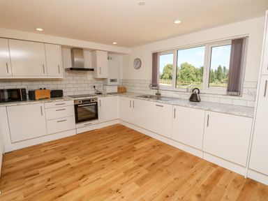 A kitchen with white cabinets a stove a microwave a toaster a kettle and a window showing trees at Cava in Seaview