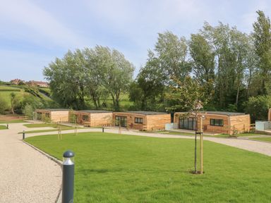 Modern wooden cabins arranged in a row with green lawn and trees at Chianti in Seaview
