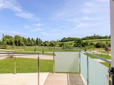 A balcony with glass and metal railings overlooking a grassy area and trees in the countryside at Chianti in Seaview