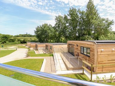 A group of modern wooden cabins with patios and railings surrounded by grass and trees at Claret in Seaview