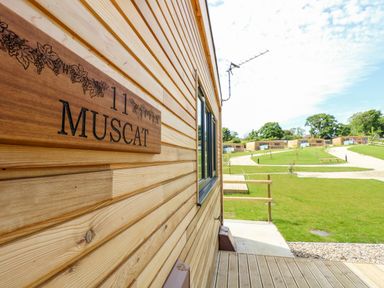 Wooden cabins with green lawns and pathways at Muscat in Seaview