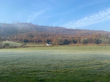 A field with grass in front of a forested hillside and a house in the middle at Tan Y Garth Cottage in Glyndyfrdwy near Llangollen
