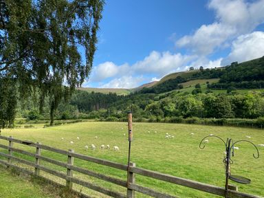 A field with sheep grazing behind a wooden fence with trees and hills in the background at Tan Y Garth Cottage in Glyndyfrdwy near Llangollen