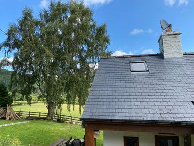Roof of a house with a chimney and satellite dish next to a large tree and green field at Tan Y Garth Cottage in Glyndyfrdwy near Llangollen