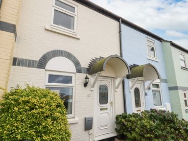 A row of brick houses with white and blue painted exteriors with plants in front at Little Tern in Brewers Quay Harbour