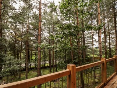 A wooden deck railing overlooking a forest with tall trees at Pine Marten Lodge in Dulnain Bridge near Nethy Bridge