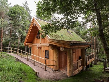 A wooden cabin with a grass roof surrounded by trees and a dirt path with railings at Pine Marten Lodge Dulnain Bridge near Nethy Bridge