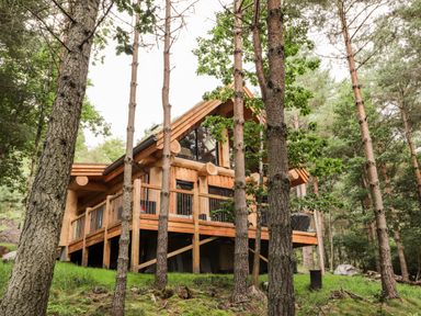 A wooden cabin with a raised porch among trees in a forest at Pine Marten Lodge in Dulnain Bridge near Nethy Bridge