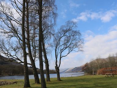 A lakeside view with leafless trees grassy area and a picnic table at Red Kite Lodge in St Fillans