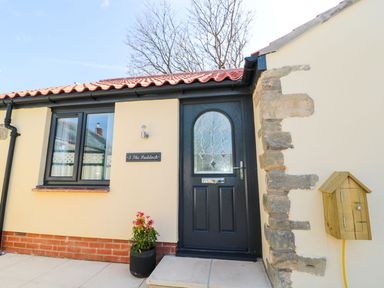 A front door with decorative glass window and a potted plant outside at 3 The Paddock in Benthall near Beadnell