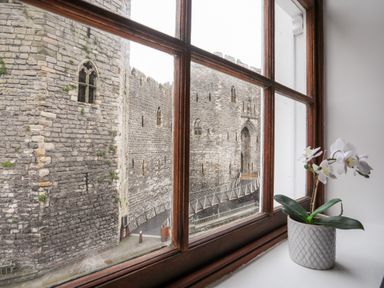 A white orchid plant on a windowsill with a view of a stone castle outside at Llety Pen Deitsh 1 in Caernarfon