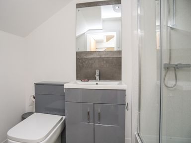 A bathroom with a toilet sink cabinet mirror and shower at Llety Pen Deitsh 2 in Caernarfon