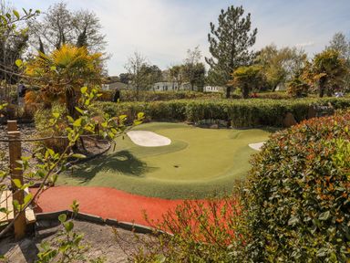An outdoor miniature golf course hole surrounded by bushes trees and plants at 171 Snowdonia View in Chwilog