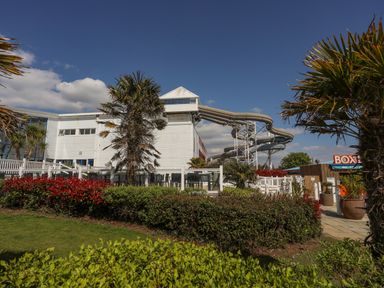 An outdoor area with hedges and palm trees next to a white building with water slides at 171 Snowdonia View in Chwilog