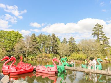 A small lake with dragon-shaped paddle boats and people standing on a wooden dock surrounded by trees at 171 Snowdonia View in Chwilog