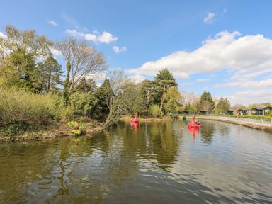 A pond with red pedal boats shaped like swans and trees surrounding the water at 171 Snowdonia View in Chwilog