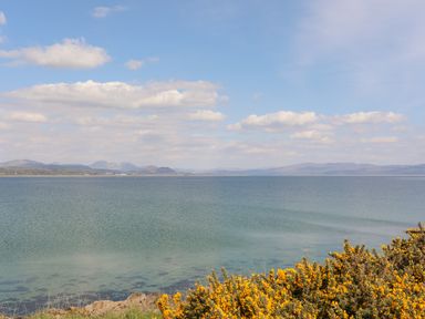 A coastal view with water yellow bushes and distant hills at 171 Snowdonia View in Chwilog