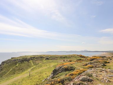 A coastal landscape with grassy hills and yellow flowering bushes by the sea at 171 Snowdonia View in Chwilog