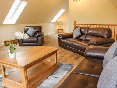 A living room with brown leather sofas a wooden coffee table and a potted orchid at Holly Lodge in Forden near Montgomery