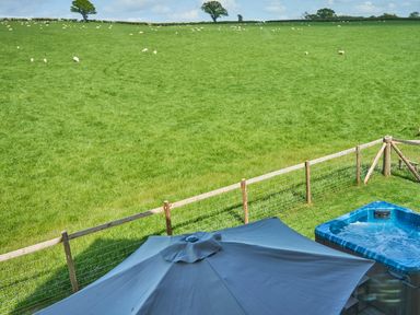 A fenced grassy field with sheep and a hot tub next to a closed patio umbrella at Holly Lodge in Forden near Montgomery