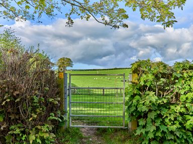 A metal gate in a hedge opening to a green field with sheep under a cloudy sky at Holly Lodge in Forden near Montgomery