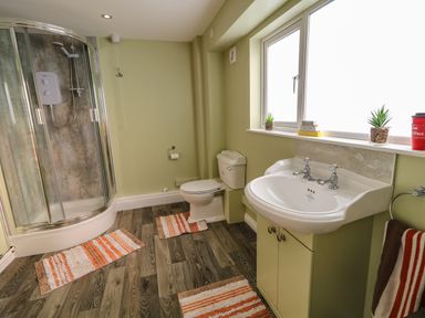 A bathroom with a shower, toilet, sink, three rugs, and two plants on the windowsill at Granny's in Bushmills County Antrim