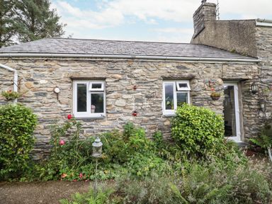 A stone cottage exterior with two windows and garden plants at Cwm Caeth Cottage in Nantmor near Beddgelert