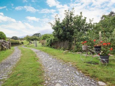 A gravel path with grass edges and a decorative flower holder shaped like a bicycle on the side at Cwm Caeth Cottage in Nantmor near Beddgelert