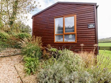 A garden with various plants and a wooden building with a window and sign reading Orchard View in Bossiney near Tintagel