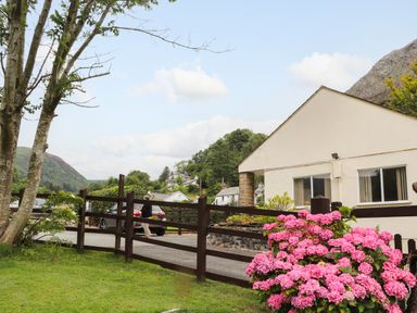 A garden with pink flowers and trees next to a driveway with a black car near a cream house at Awel Y Berwyn in Llangynog