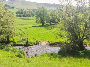 A grassy field with trees and a small river running through it at Awel Y Berwyn in Llangynog