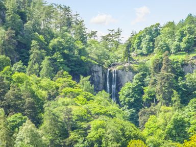 A forested hillside with a waterfall cascading down rocks at Awel Y Berwyn in Llangynog