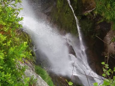 A waterfall flowing over mossy rocks surrounded by green plants and shrubs at Awel Y Berwyn in Llangynog