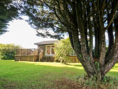 A house with a wooden deck and stairs surrounded by grass and trees at Stonewood Lodge in Woolsery