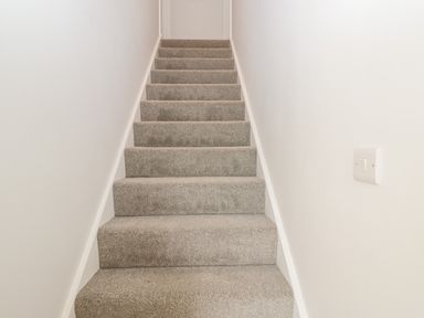 A carpeted staircase with white walls and a light switch on the right side at Stag Cottage in Lytchett Matravers