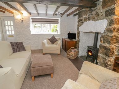 A living room with a stone fireplace wood stove sofas and a television at Ty Coed in Beaumaris