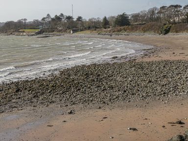 A shoreline with sand and rocks alongside the sea with trees and grass in the background at Ty Coed in Beaumaris