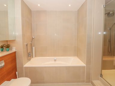 A bathroom with a bathtub shower area toilet and countertop at 15 Dart Marina Dartmouth