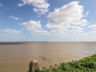 A coastal view with brown water a chain link fence and green vegetation at Bungalow 14 in Corton