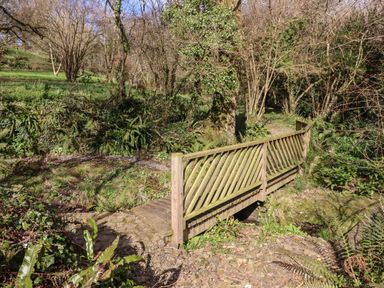 A wooden footbridge over a small stream in a wooded area at The Byre in Monkleigh near Great Torrington