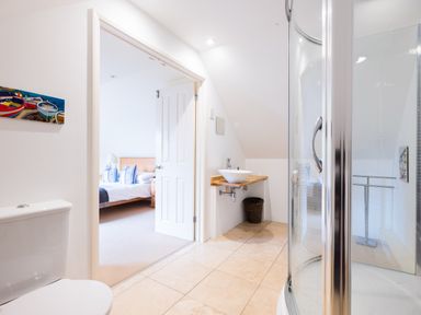 A bathroom with a shower, toilet, and sink with a wooden countertop next to a bedroom at Silverdale in Rock