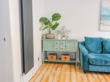 A green cabinet with plants and decorative items next to a blue sofa and a gray radiator on a wooden floor at The Lazy Seal in Spittal