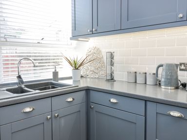 A kitchen corner with blue cabinets a sink a plant mugs canisters and a kettle at The Lazy Seal in Spittal