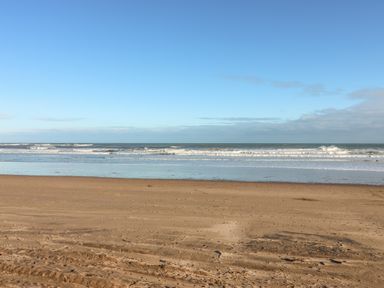 A sandy beach with waves and the ocean under a clear blue sky at The Lazy Seal in Spittal