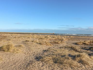 A sandy beach with dry grass patches and a lighthouse by the sea at The Lazy Seal in Spittal