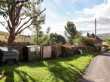 A rural roadside with grass trees stone walls and utility boxes near houses at Michaelmass Cottage in Castleton