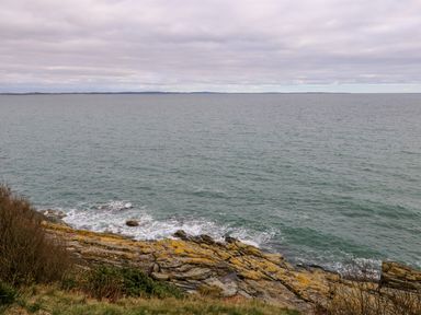 A rocky shoreline with waves and bushes overlooking a large body of water at Rocklea Seaside Cottage in Newcastle County Down