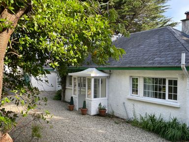 Exterior of a white cottage with a gravel path green plants and a small porch at Rocklea Seaside Cottage in Newcastle County Down