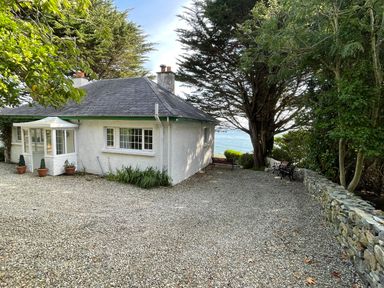 A white cottage with a gravel driveway and large trees overlooking water at Rocklea Seaside Cottage in Newcastle County Down